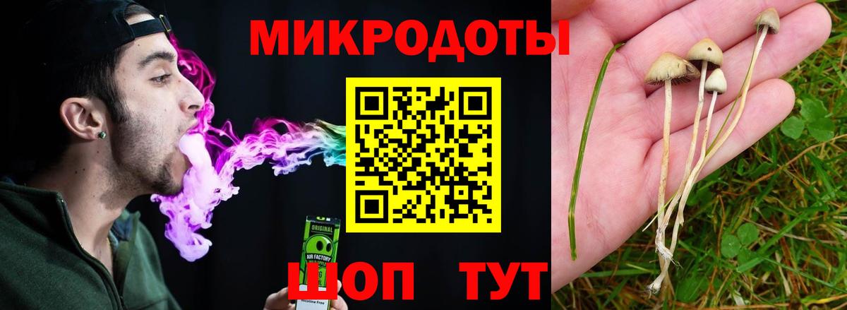 Галлюциногенные грибы Psilocybe  Вход с VPN  Надым 