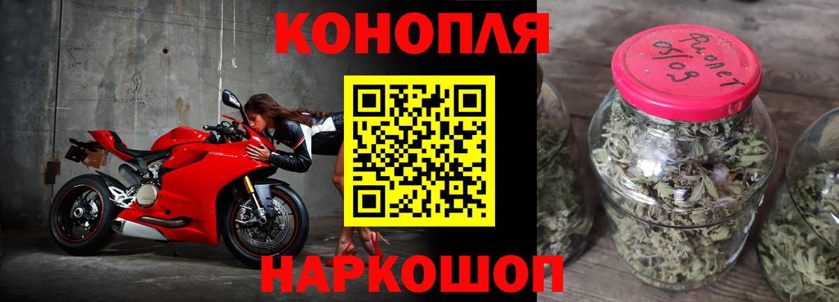 Конопля планчик Надым